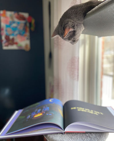 Coal Reading.jpg