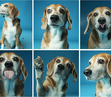Winston Photoshoot Collection.jpg