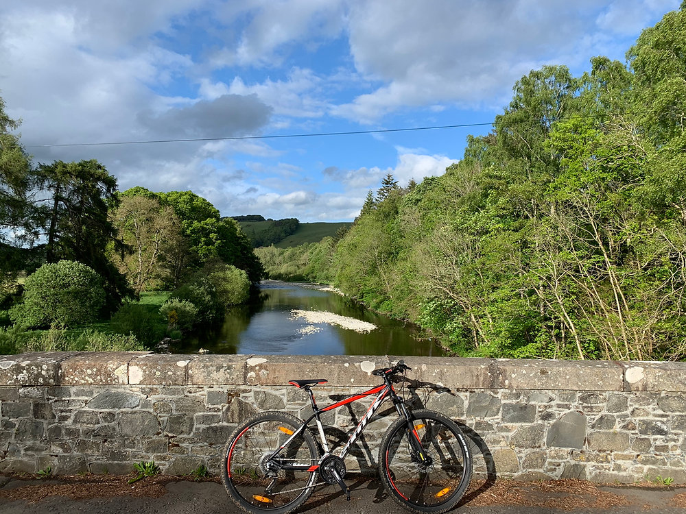 Mtb Border Ranges E-bike Hire | Scottish Borders