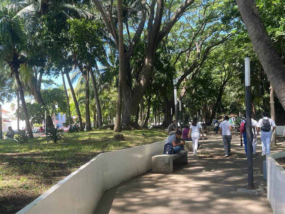 PARC 03