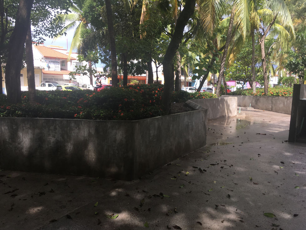 Vegetation Contention