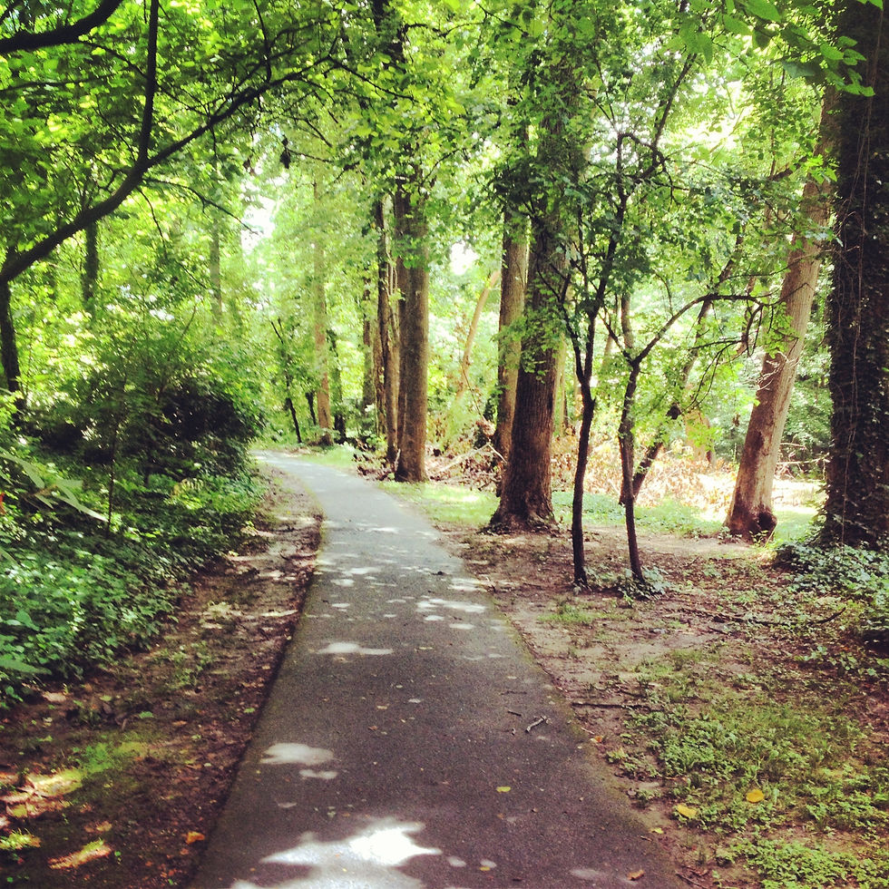 Path near River Rd.