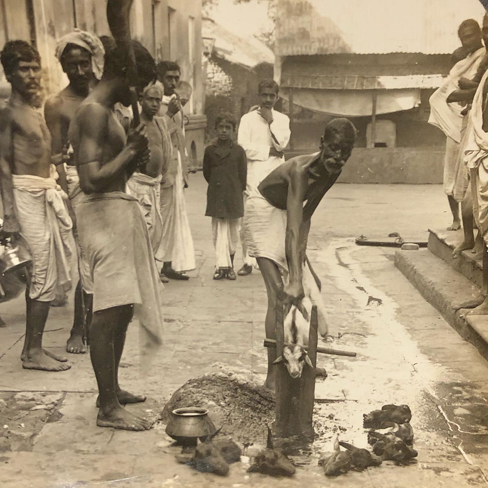 Sacrificial Stereoview