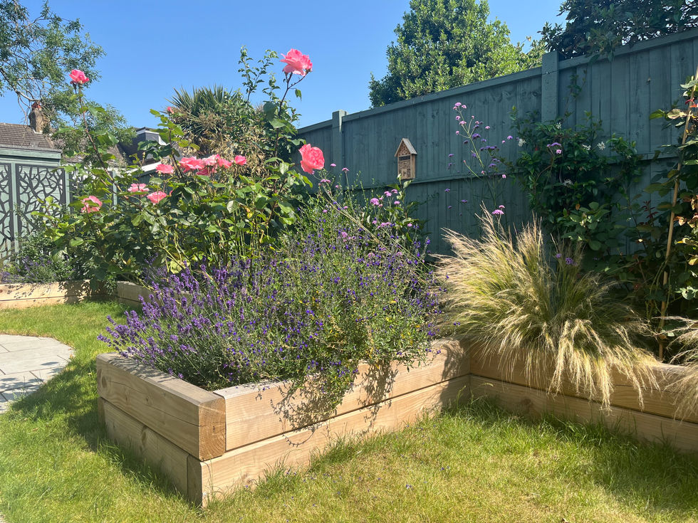 Raised beds - railway sleepers