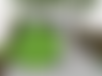 How I Design Urban Gardens