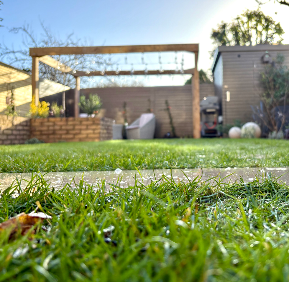 Back patio in South Ealing in South Ealing by Agata Henderson Garden Design