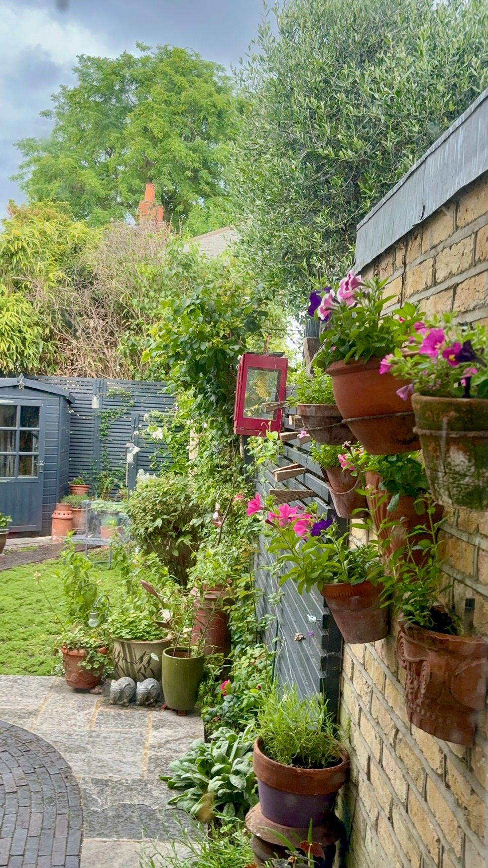 Mature garden designed in Chiswick West London.jpg