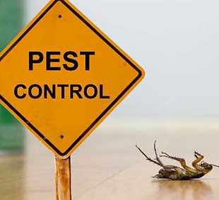 commercial-pest-control-services-1.jpg