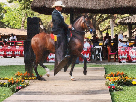 XVIII Exposición Equina Grado B en La Tinaja