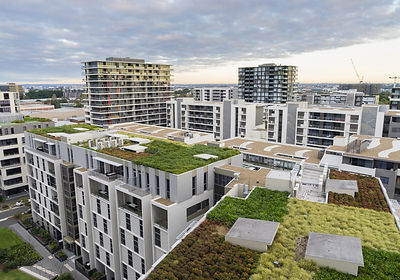Green Roofs