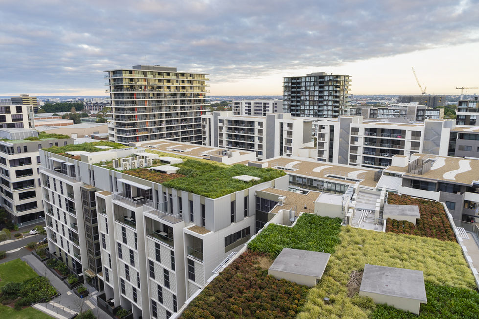 Green Roofs