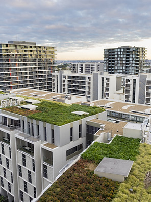 Green Roofs