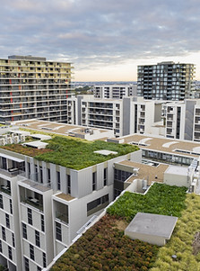 Green Roofs