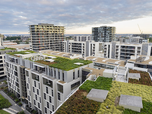 Green Roofs
