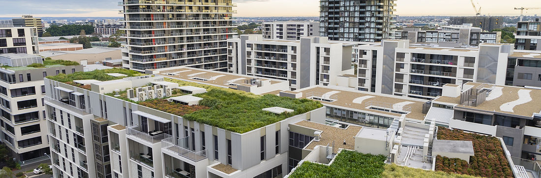 Green Roofs