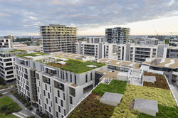 Green Roofs