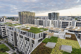 Green Roofs