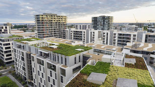 The Green Office: How HR Can Drive Sustainability in the Workplace