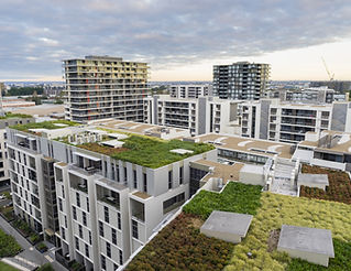 Image by Pablo Heimplatz