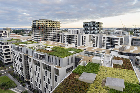 Green Roofs