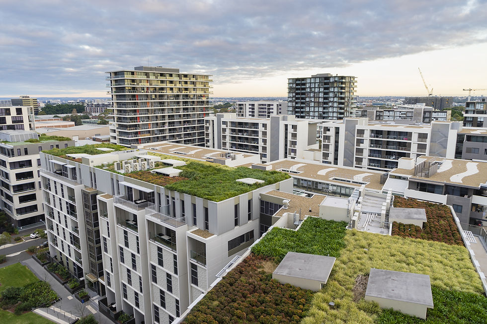 Green Rooftop Buildings