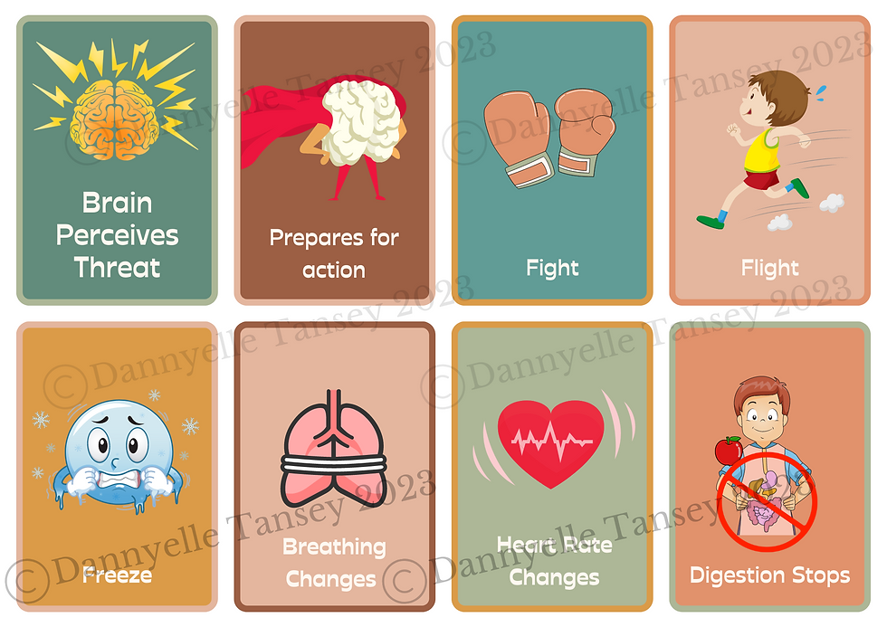 Thumbnail: Kids Fight or Flight Flash Cards