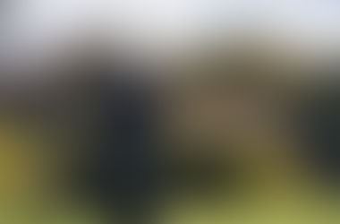 Phillips Joins the HOF with Win