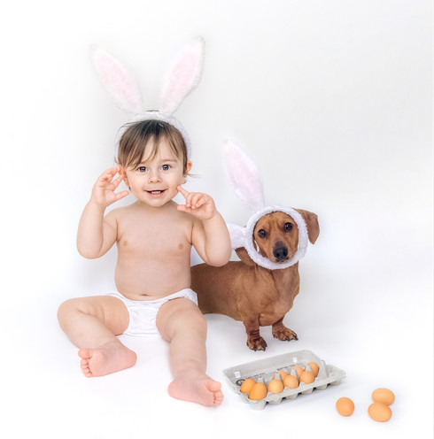 easter card baby with dachshund dog by f