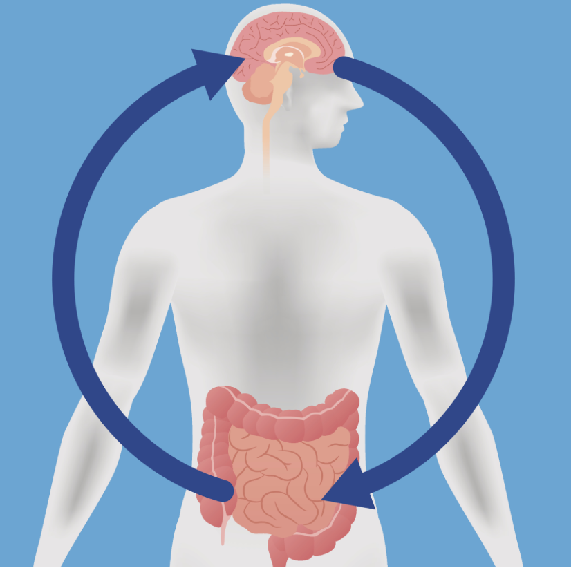 Image from Harvard Health via Google Images