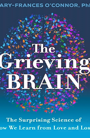 The Grieving Brain
