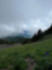 688CEA42-4D5E-4753-9F15-8D6CBC29FDD8.JPG