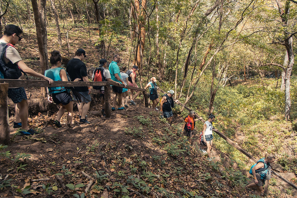 Official Trails to La Leona Waterfall in Curubandé