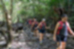 How difficult are the La Leona Waterfall hiking trails in Curubandé
