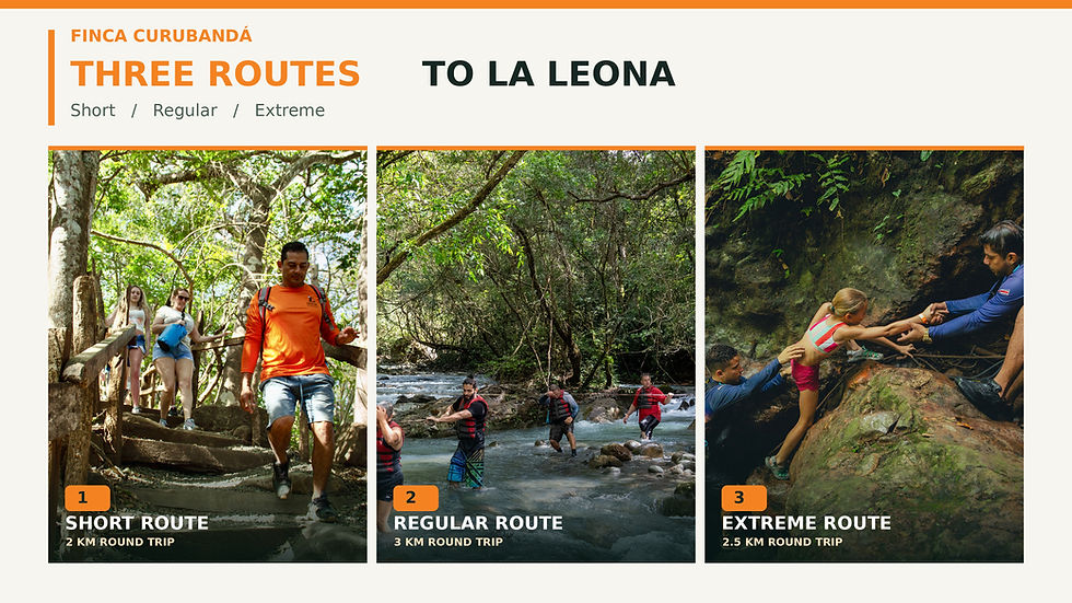 Guide leading visitors on a La Leona Waterfall route at Finca Curubanda