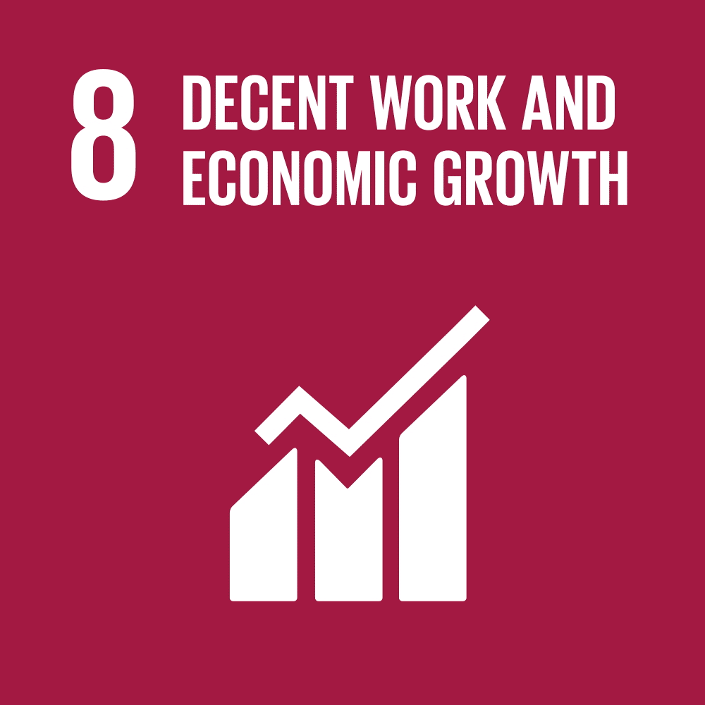 UN SDG Goal 8