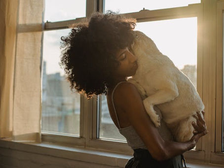 Cómo las redes de seguridad pueden proteger a tus mascotas en el hogar