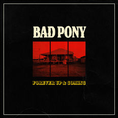 BadPonyForever.jpeg
