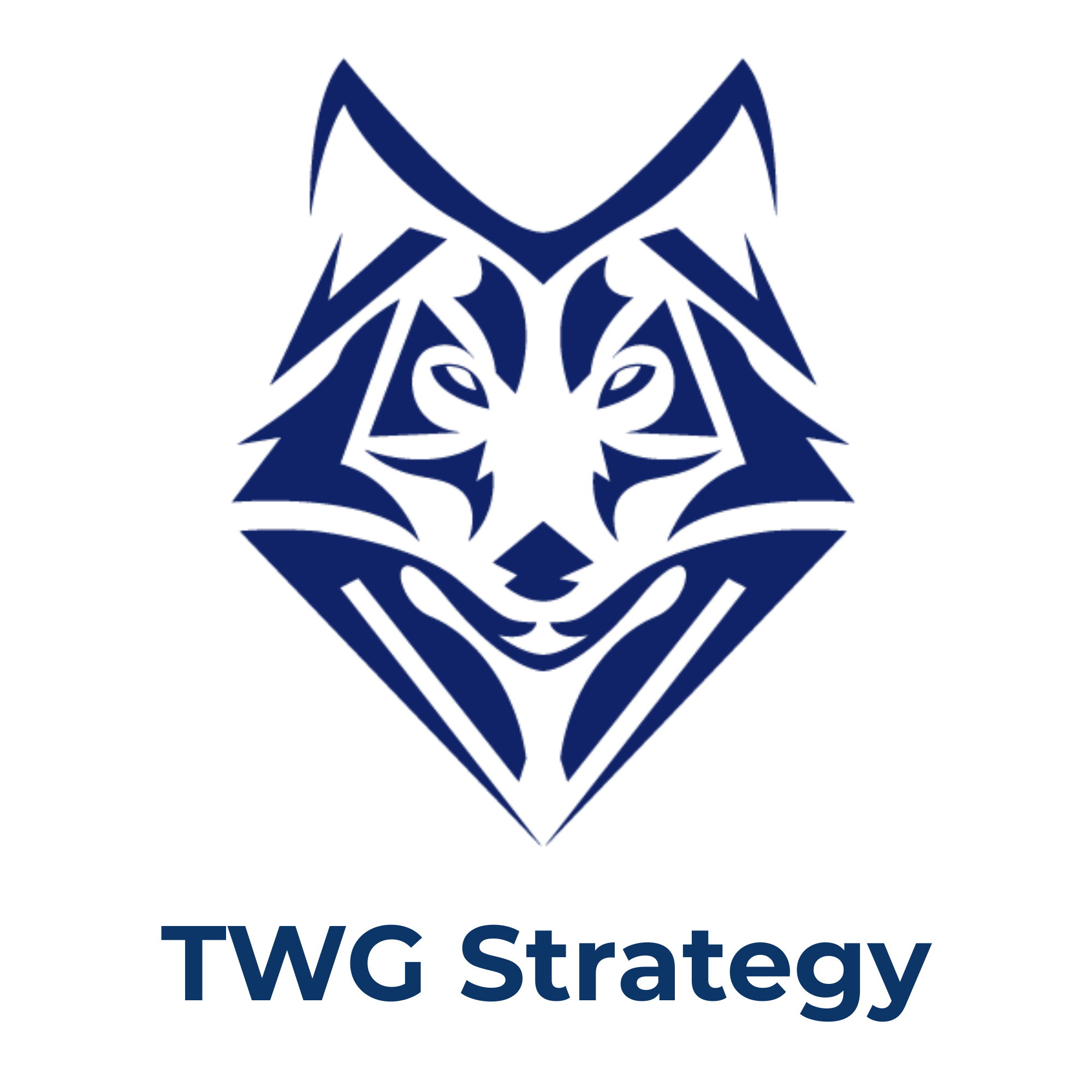 Writer: TWG Strategy