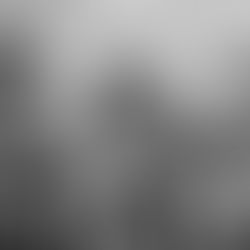 Scaffolders Pigeon Droppings Tool Box Talk