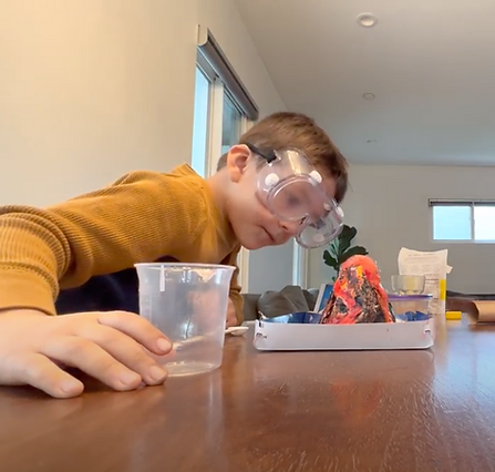 SGS Science Project