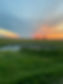 IMG_5284.jpeg