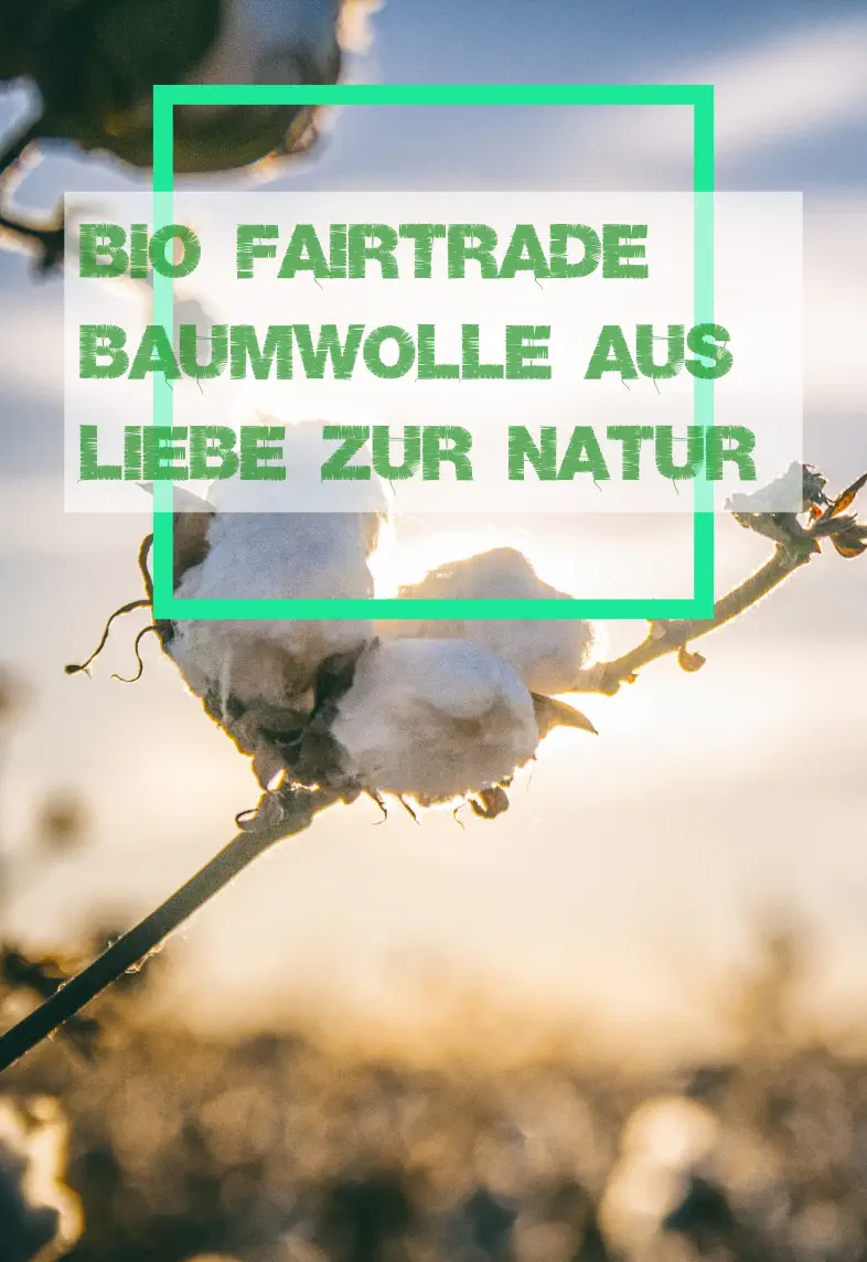 BySelini Bio und fair-Trade Baumwolle aus Liebe zur Natur