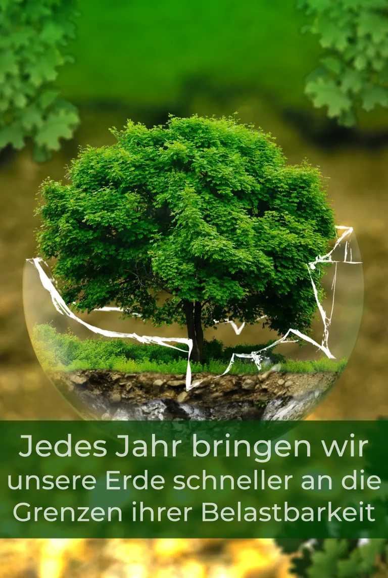 Bio-Textilien mit Umweltfreundlicher Veredelung Stick und Druck von Selini-Berlin