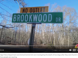 Woodbridge police seek info after person finds two dead dogs in residential area