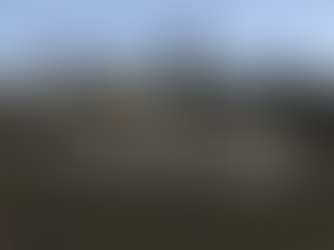 Torrington case prompts proposal to make it illegal to have sexual contact with animals in CT