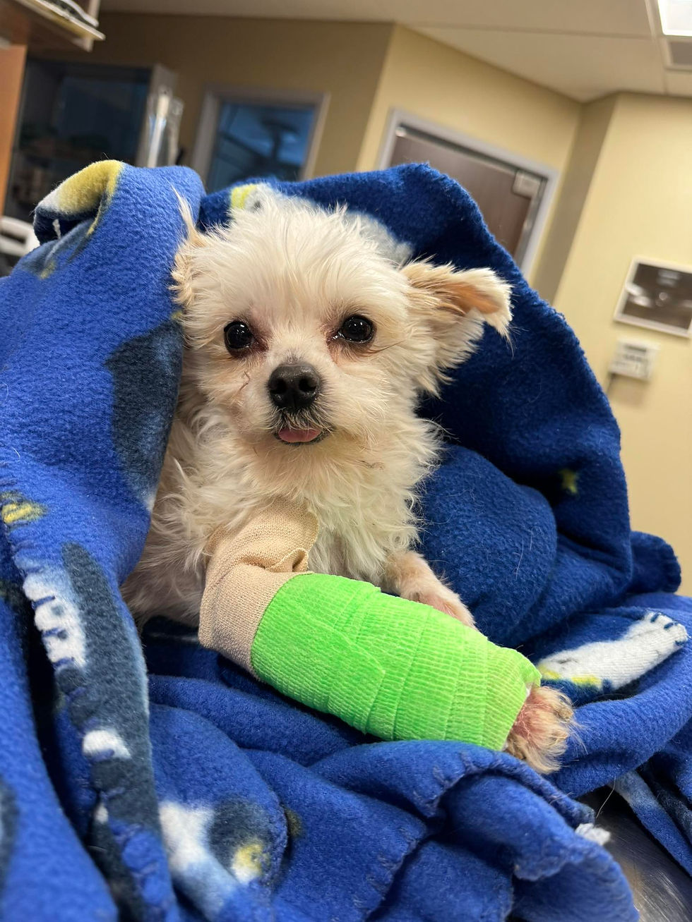 654450548_942716764818949_4436817516199353449_n