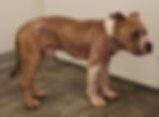 image000000_edited