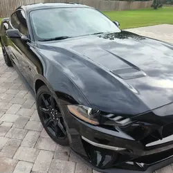 Black Mustang with a ceramic coating, showcasing a high-gloss, mirror-like finish