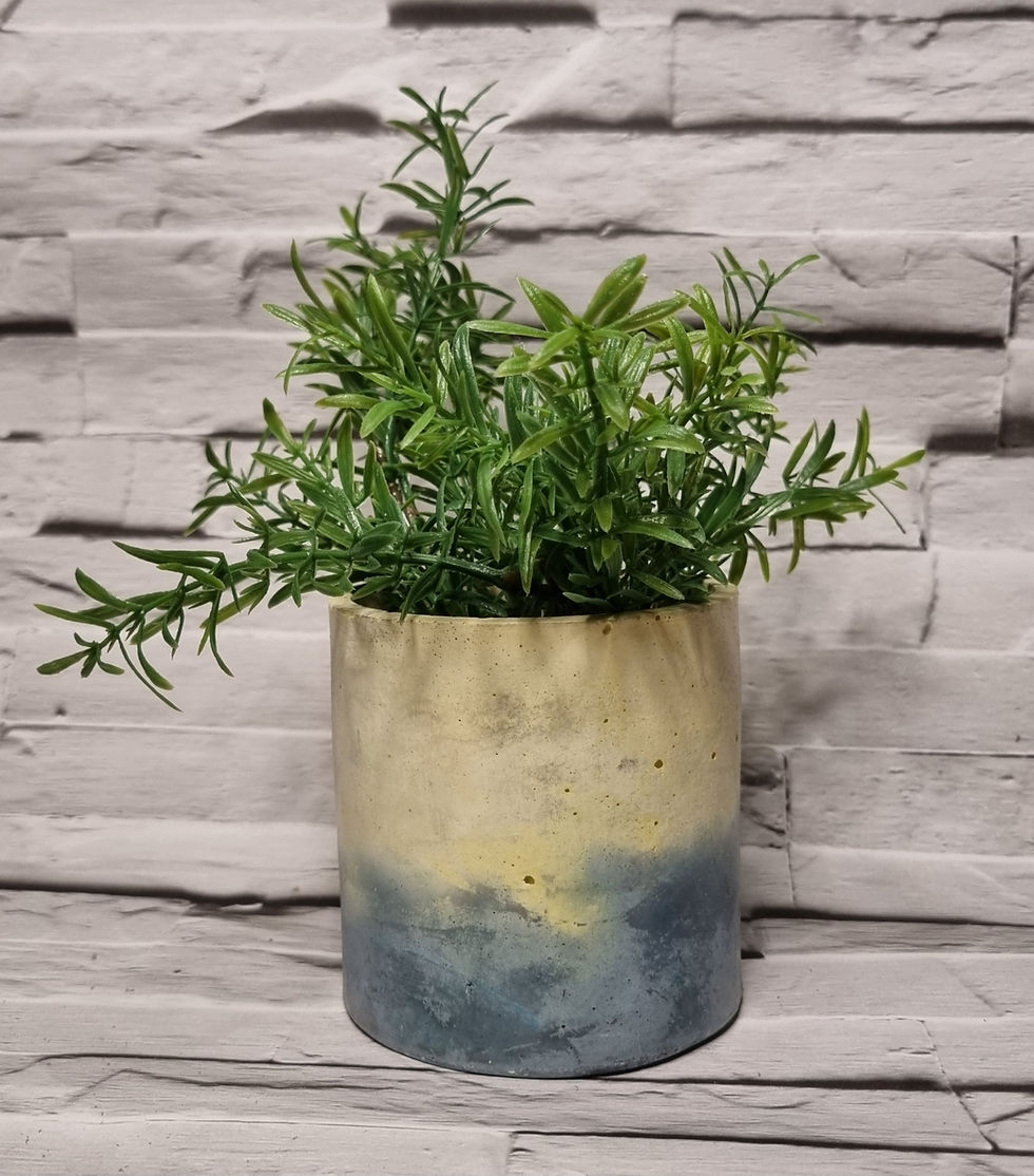 Thumbnail: Lemon & Navy Circle Planter