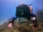 IMG-20200328-WA0026-01-01